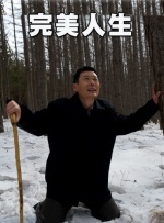 红p是指哪个平台