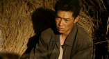 小樱同人